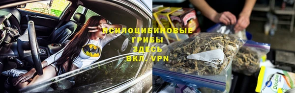 a pvp Покровск