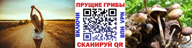 Галлюциногенные грибы мицелий  где купить наркотик  Южа 